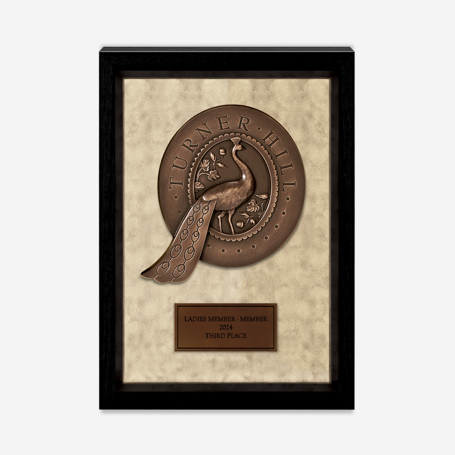 #options_3D2 - Dark Bronze
