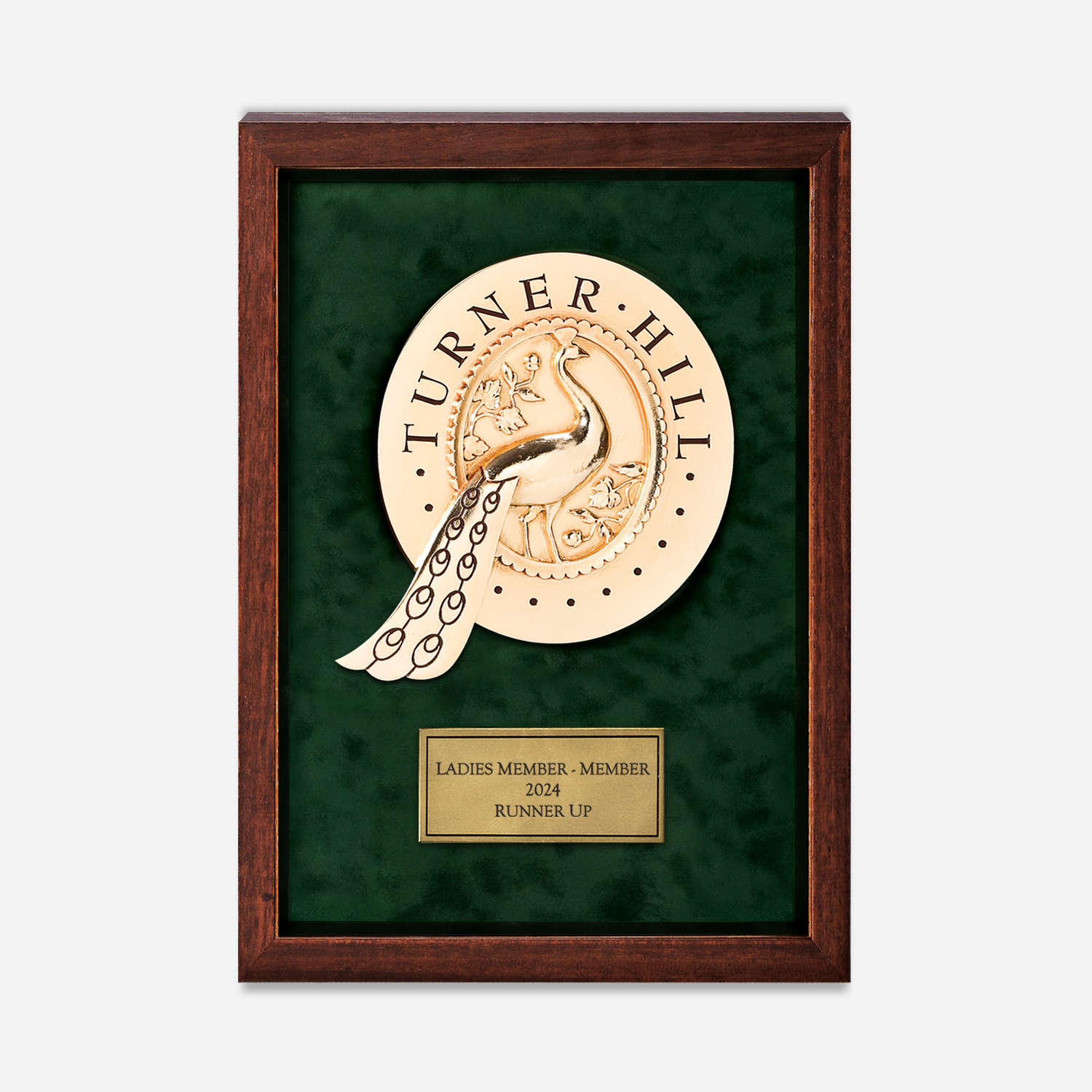 NMSB001-3D3-DARKBRONZE_2025