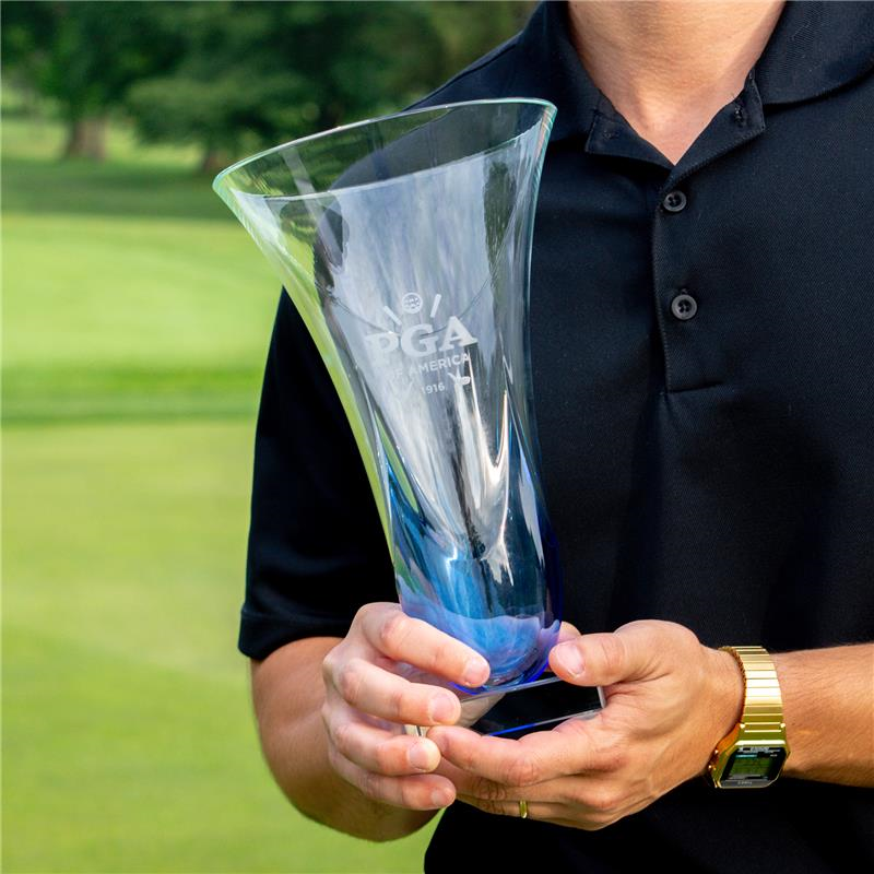 #options_Blue Luster