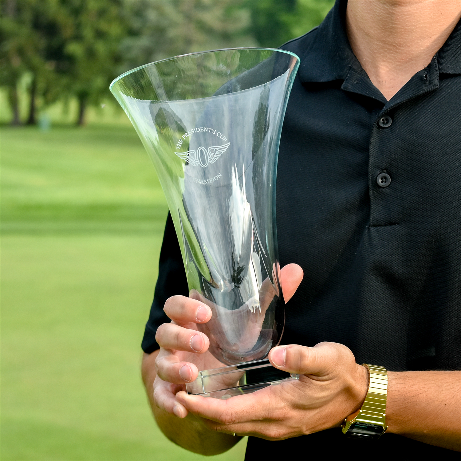 #options_Black Luster