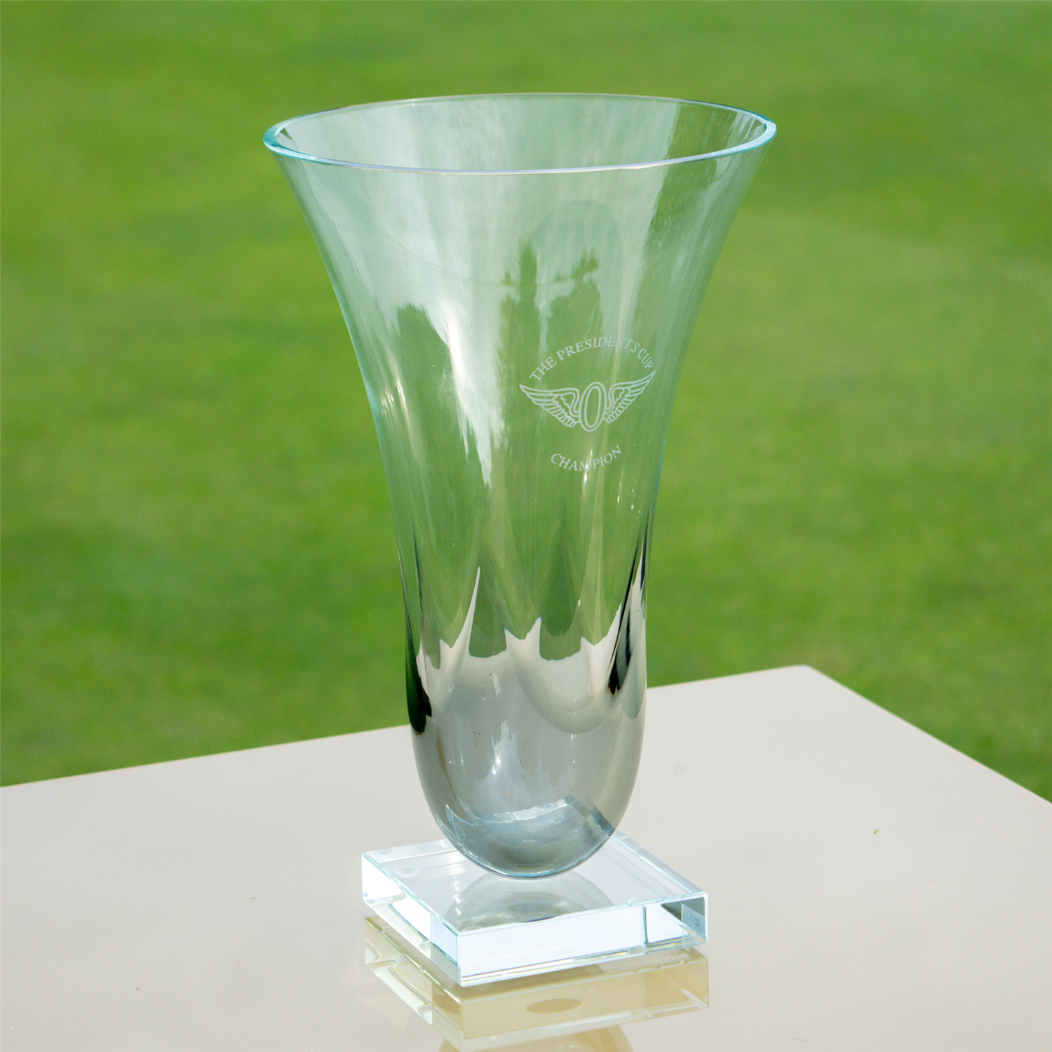 #options_Black Luster