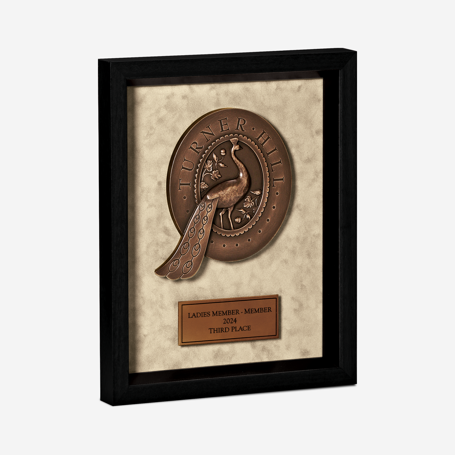 #options_3D2 - Dark Bronze